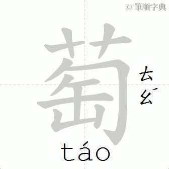 萄造詞|萄字意思注音，萄造詞、部首、筆畫、查詢